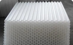 新品推薦